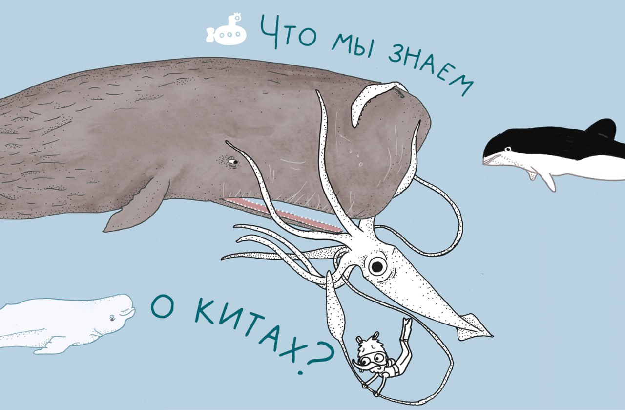 Мирные чудовища: что мы знаем о китах? Мирные чудовища: что мы знаем о китах?
