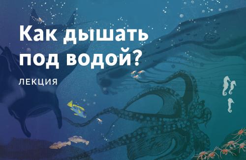 Лекция «Как дышать под водой?»