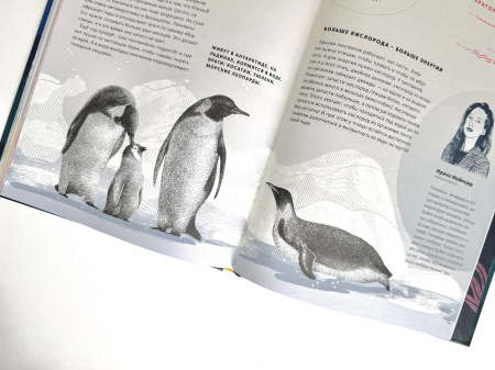 Как дышать под водой?