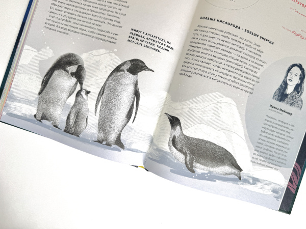 Как дышать под водой?