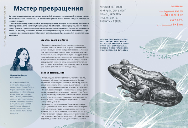 Как дышать под водой?