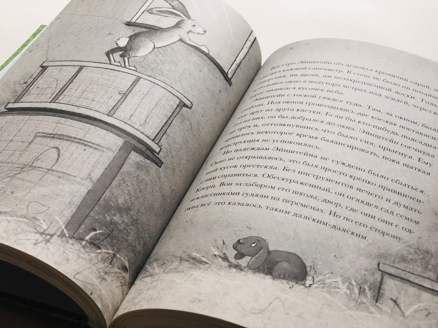 Я превращаюсь. Все зайцы высоко летают