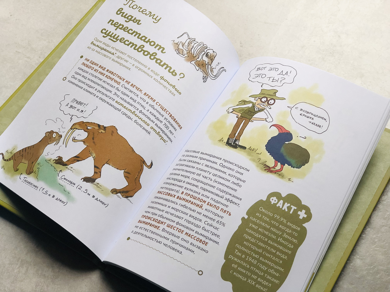 Почему животные исчезают?