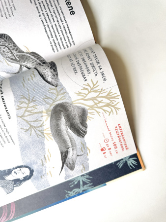 Как дышать под водой?