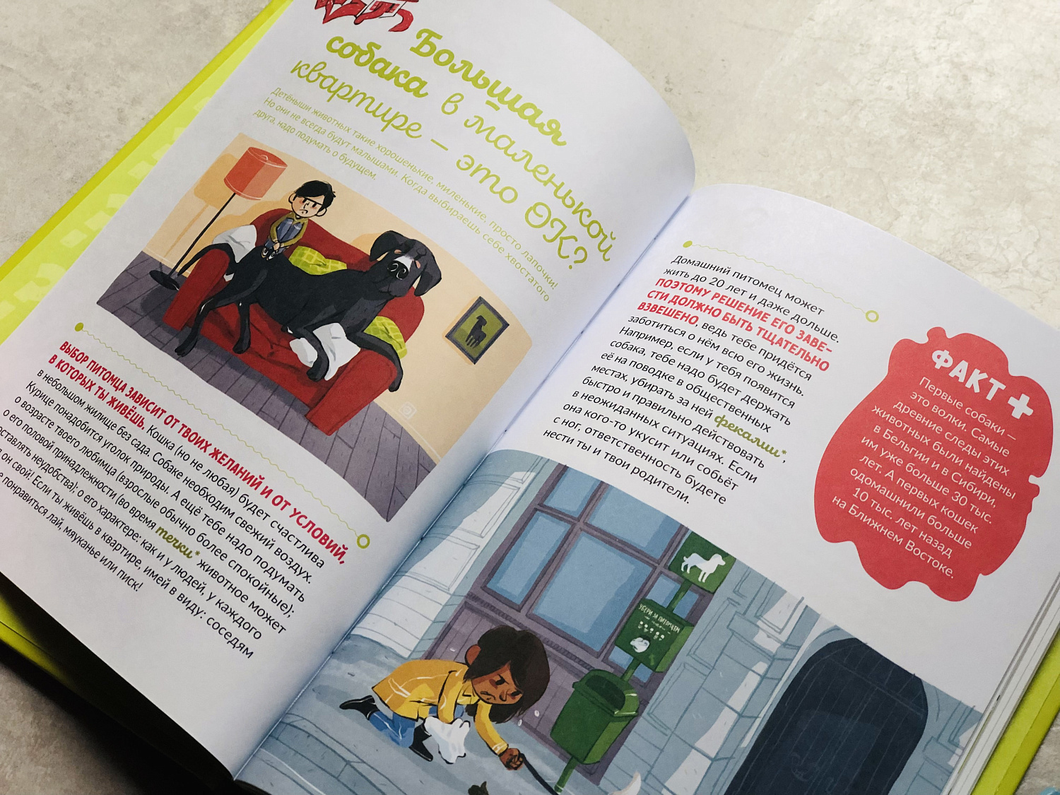 Могу ли я завести домашнее животное?