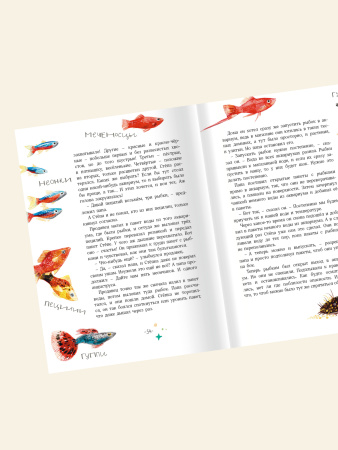 Мой кусочек озера