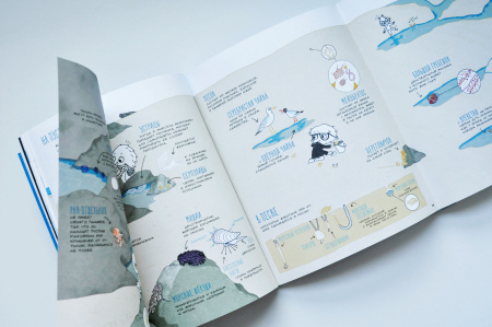 Узнать за выходные океан