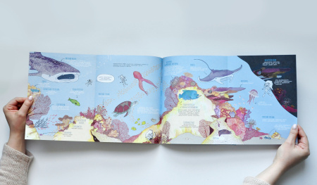 Узнать за выходные океан