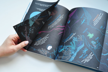 Узнать за выходные океан