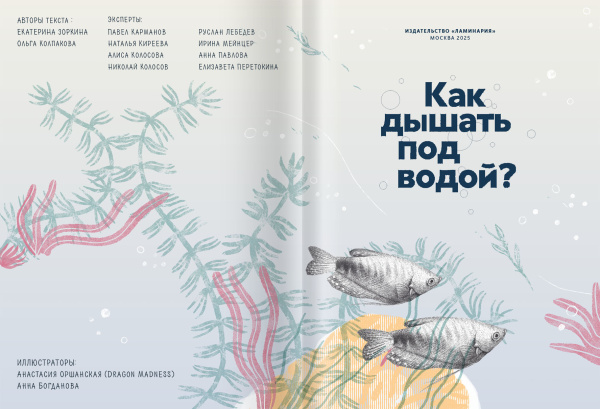 Как дышать под водой?